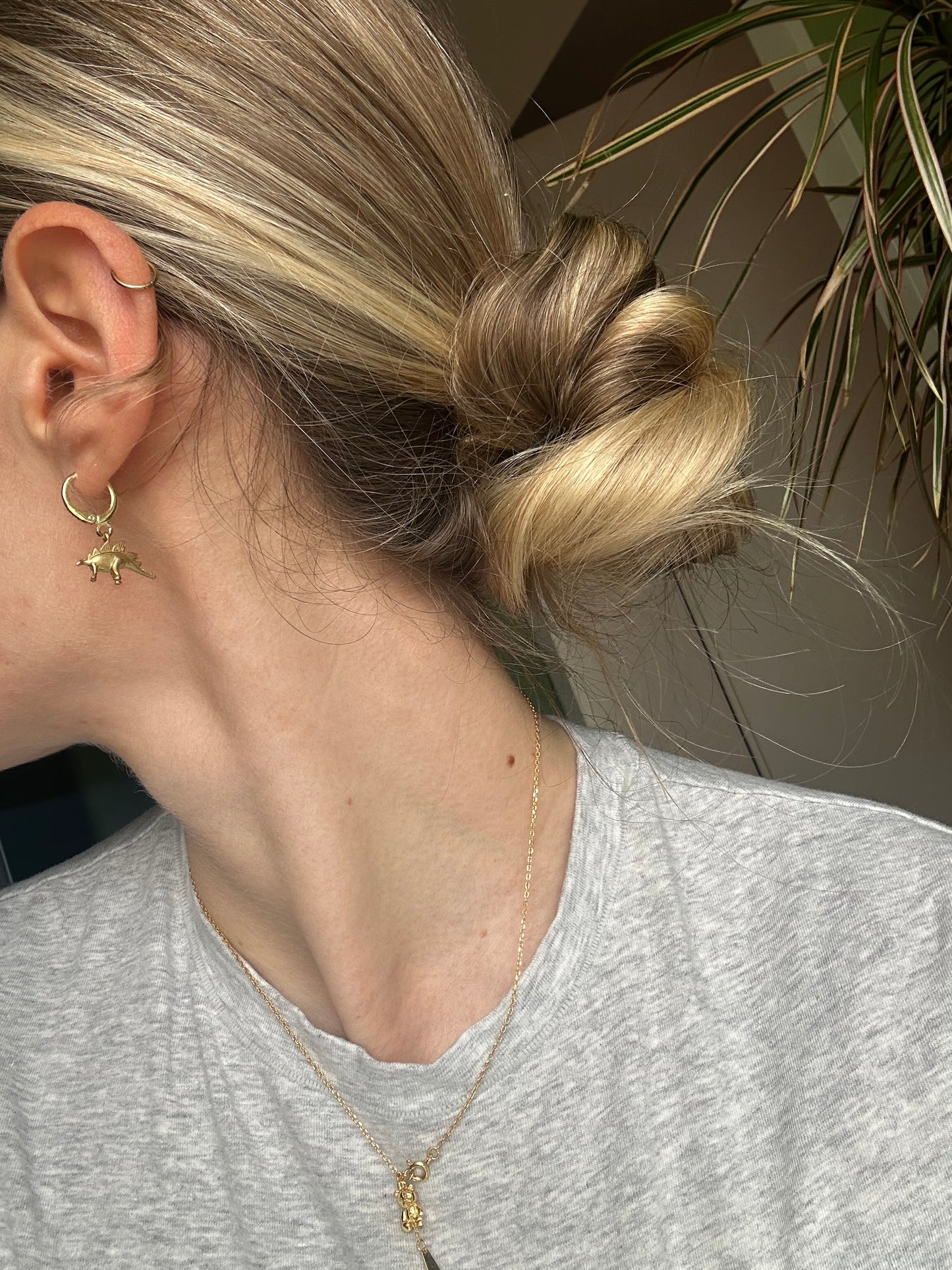 Stegosaurus single hoop